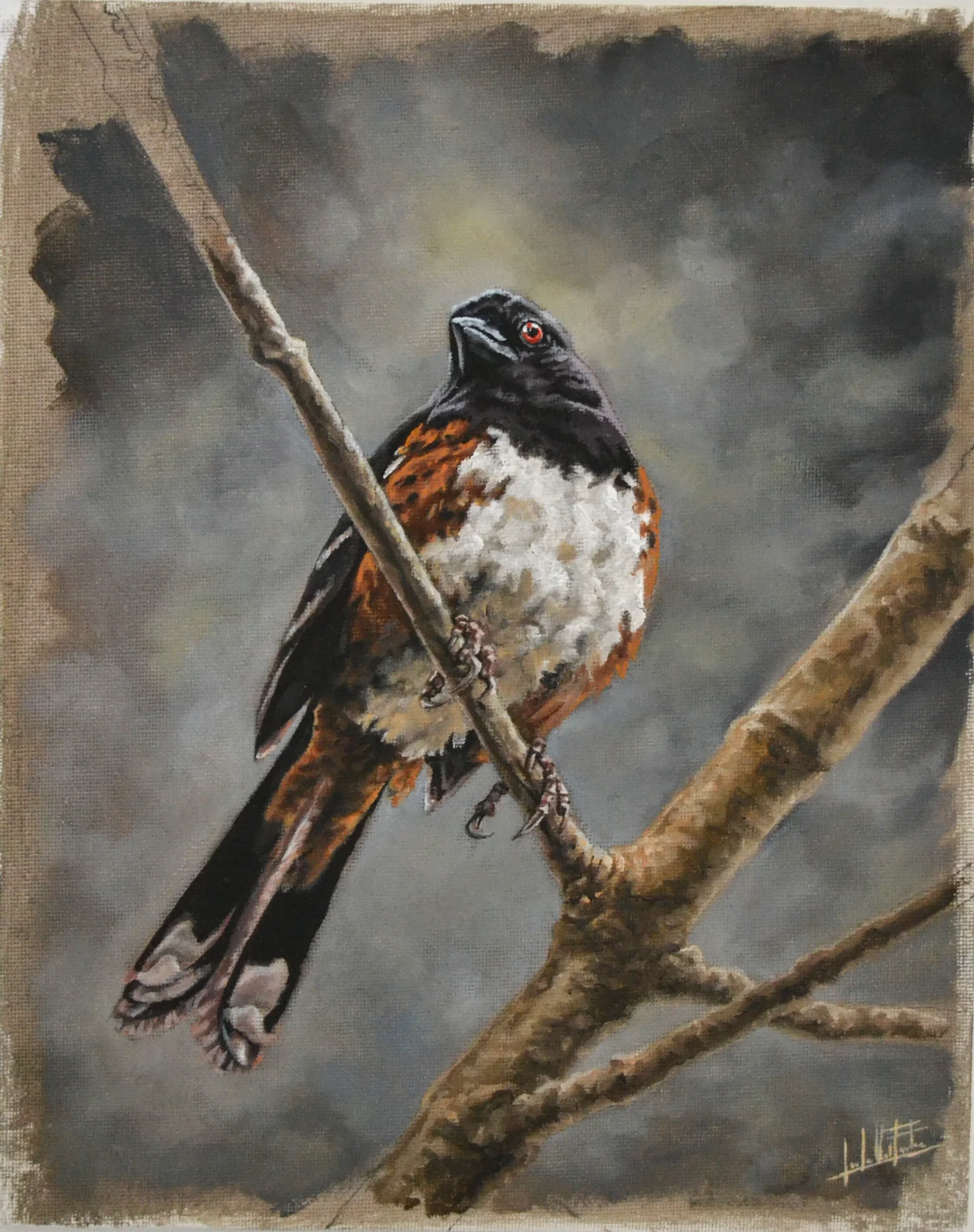 Spotted, a gouache wildlife painting by Jose Urdiales